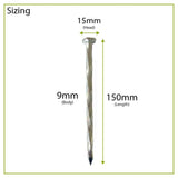 CORE DRIVE Galvanized Spiral Pins (Pack of 10) 150mm
