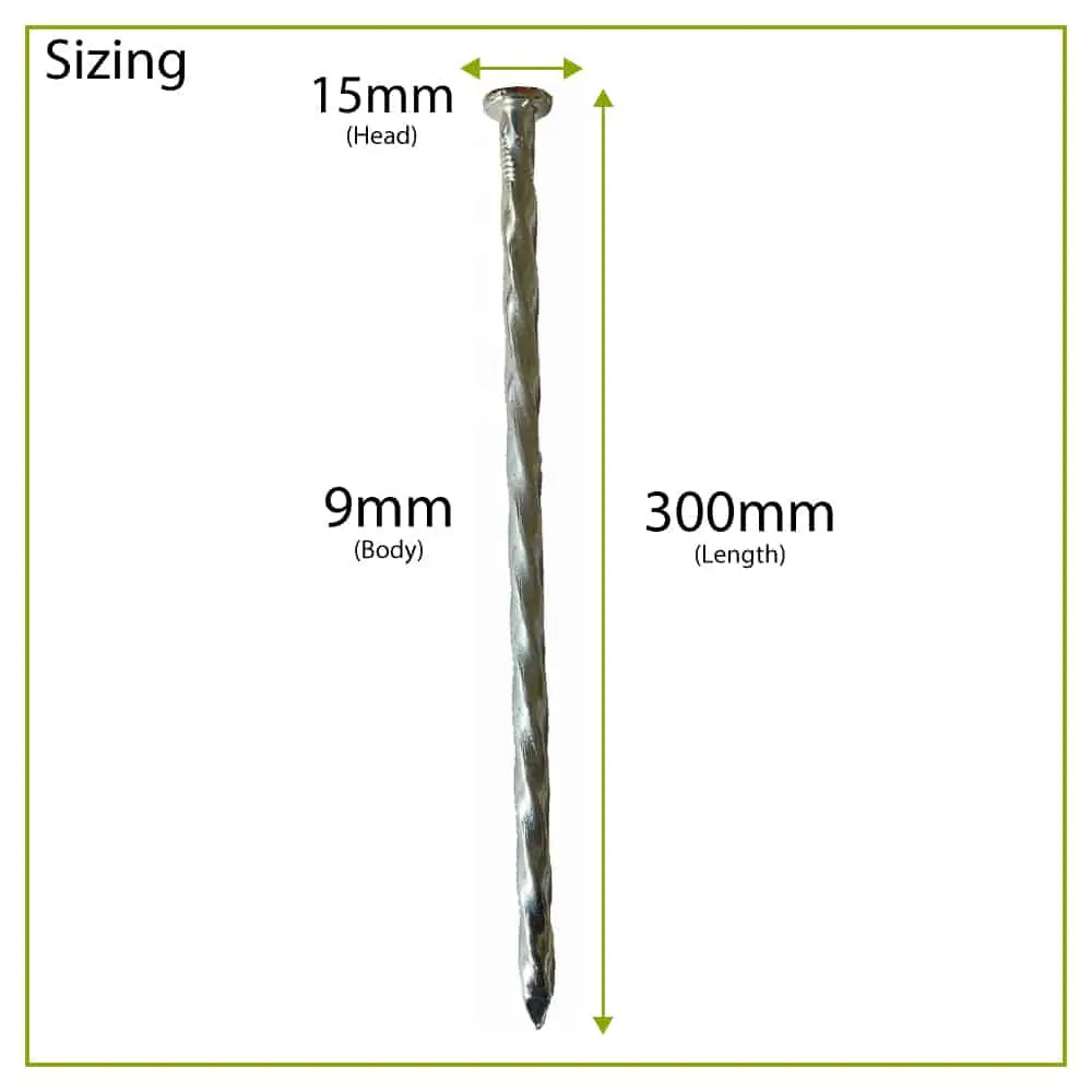 CORE DRIVE Galvanized Spiral Pins (Pack of 10) 300 mm