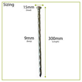 CORE DRIVE Galvanized Spiral Pins (Pack of 10) 300 mm