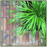 CLAY PAVING - ALPHA COLLECTION