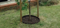 GARDEN TREE RING, Black, 1200mm (4 sections), CORE EDGE
