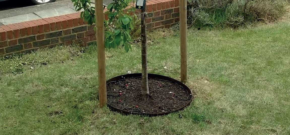 GARDEN TREE RING, Black, 600mm Diameter (2 sections), CORE EDGE